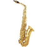 SAXOFON ALTO MIB PROFESIONAL LACADO ORO