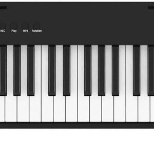 PIANO 88 TECLAS CONTRAPESADAS